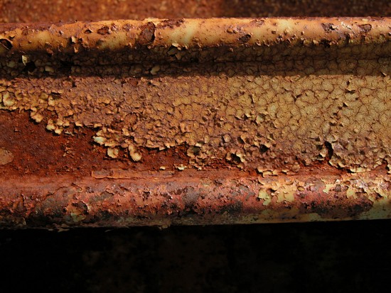 Rost