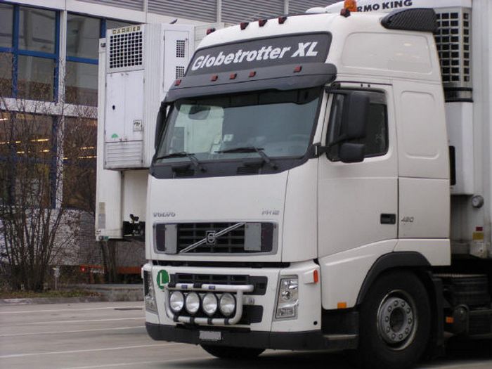 Speditionen suchen immer mehr Fahrer von immer weiter weg. Jetzt wird Brasilien abgegrast. Zu sehen ist ein weisser Lkw Volvo mit einem Kühlauflieger.
